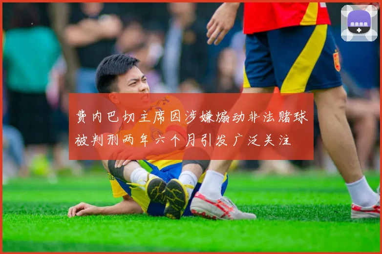 费内巴切主席因涉嫌煽动非法赌球被判刑两年六个月引发广泛关注
