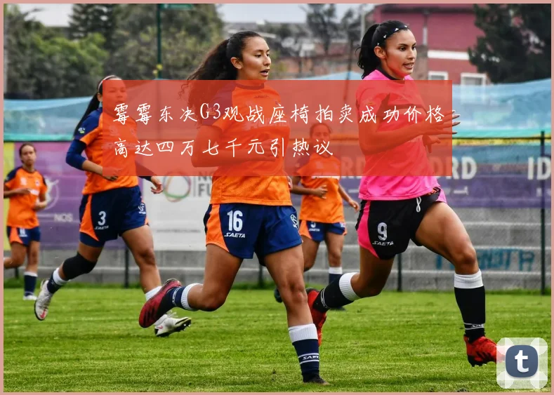 霉霉东决G3观战座椅拍卖成功价格高达四万七千元引热议
