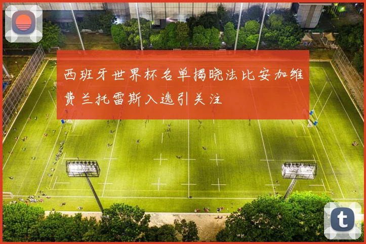 西班牙世界杯名单揭晓法比安加维费兰托雷斯入选引关注